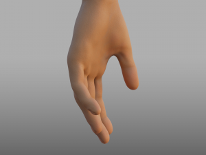 hand anatomy 3D Model