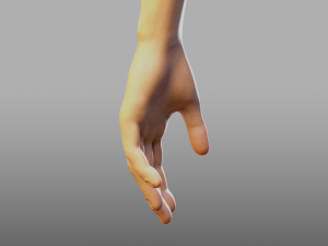 hand anatomy 3D Model