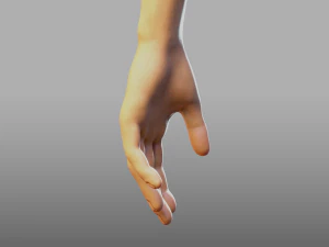 hand anatomy 3D Model
