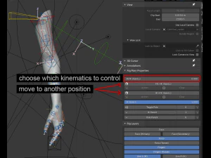 hand anatomy 3D Model