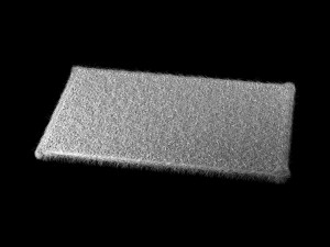 soft fluffy carpet 3D Model