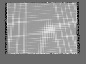 nokshi katha carpet 3D Model