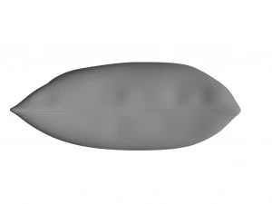pillow 3D Model
