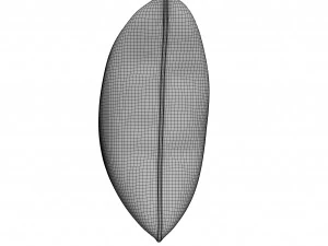 pillow 3D Model