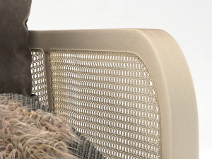 Buzzicane 1 місце 3D Модель