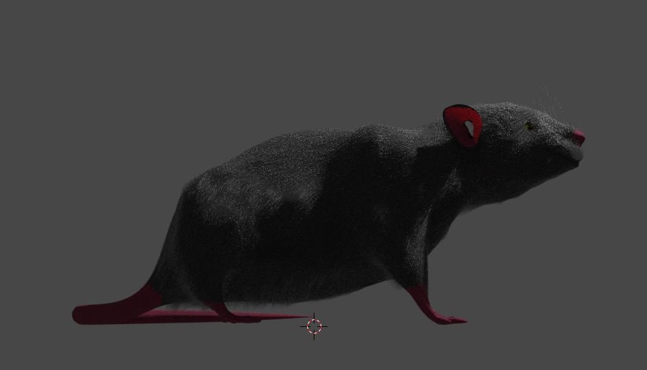 Крыса 3д модель. Blender модель крыса. Крыса 3д.