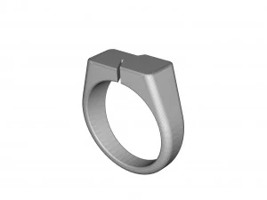 Parametric signet ring 3D Print Model