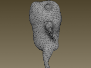 little frog 3D Модель