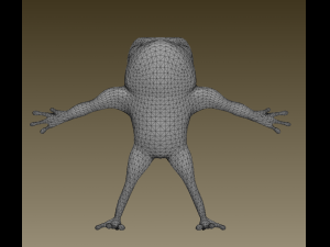 little frog 3D Модель
