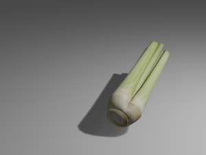 celery 3D 모델
