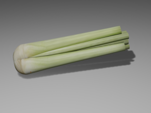 celery 3D 모델