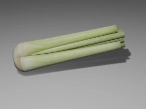 celery 3D Model