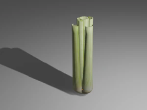 celery 3D Model