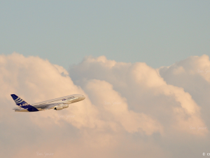 Airbus A380 Modello 3D