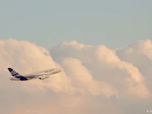 Airbus A380 3D Model
