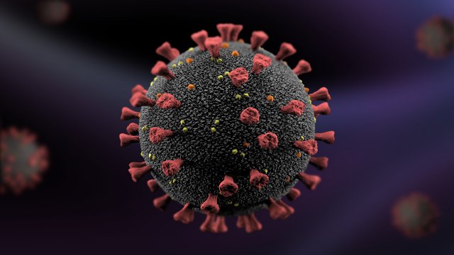 Coronavirus Modelo 3D .c4d .max .obj .3ds .fbx .stl .blend 