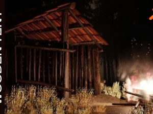 СТАРИЙ ДЕРЕВ'ЯНИЙ НАМЕТ 3D Модель