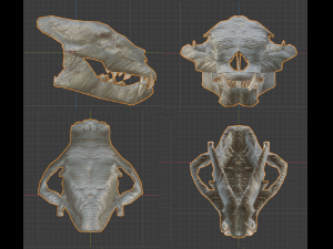 LION SKULL - LOW POLY - AR - VR - GAME DEVELOPMENT 3D Model