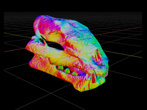 LION SKULL - LOW POLY - AR - VR - GAME DEVELOPMENT 3D Model