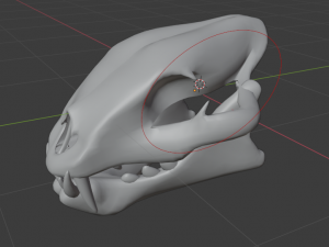 LION SKULL - LOW POLY - AR - VR - GAME DEVELOPMENT 3D Model