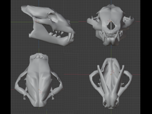 LION SKULL - LOW POLY - AR - VR - GAME DEVELOPMENT 3D Model