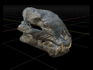 LION SKULL - LOW POLY - AR - VR - GAME DEVELOPMENT 3D Model