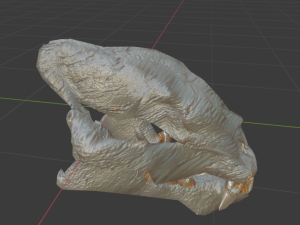 LION SKULL - LOW POLY - AR - VR - GAME DEVELOPMENT 3D Model
