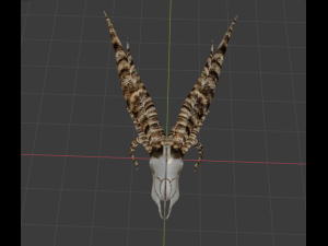 DEMON SKULL Modello 3D