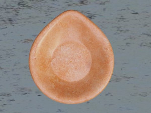 Oil Lamp - INDIAN DIYA Modello 3D