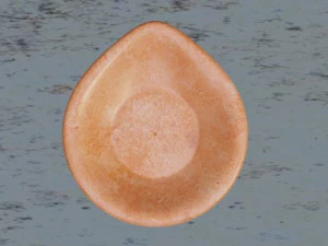 Oil Lamp - INDIAN DIYA 3D Model