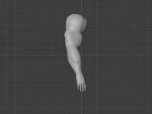 ARMS 3D MODEL - AR - VR - GAME READY 3D Model