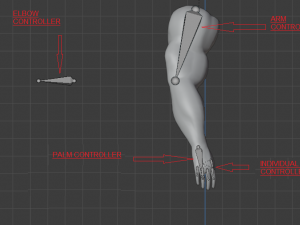 ARMS 3D MODEL - AR - VR - GAME READY 3D Model