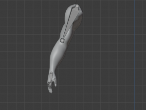 ARMS 3D MODEL - AR - VR - GAME READY 3D Model