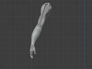 ARMS 3D MODEL - AR - VR - GAME READY 3D Model