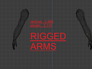 ARMS 3D MODEL - AR - VR - GAME READY 3D Model