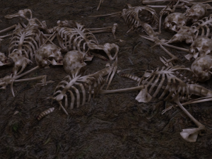 SKELETON 3D MODELS - AR - VR - GAME READY 3D Model