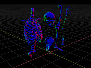 SKELETON 3D MODELS - AR - VR - GAME READY 3D Model