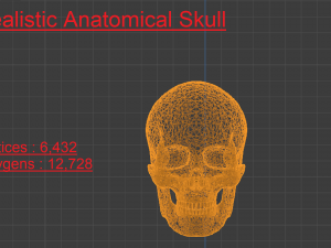 SKELETON 3D MODELS - AR - VR - GAME READY 3D Model