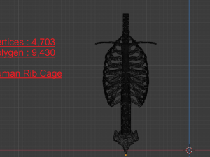 SKELETON 3D MODELS - AR - VR - GAME READY 3D Model