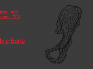 SKELETON 3D MODELS - AR - VR - GAME READY 3D Model