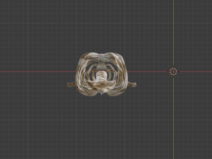 SKELETON 3D MODELS - AR - VR - GAME READY 3D Model
