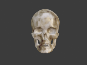 SKELETON 3D MODELS - AR - VR - GAME READY 3D Model