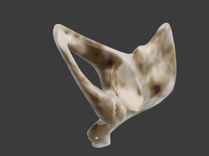 SKELETON 3D MODELS - AR - VR - GAME READY 3D Model