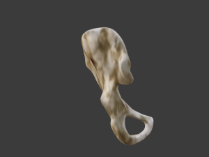 SKELETON 3D MODELS - AR - VR - GAME READY 3D Model