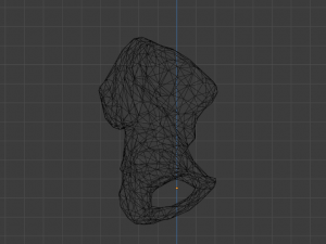 SKELETON 3D MODELS - AR - VR - GAME READY 3D Model