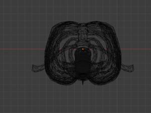 SKELETON 3D MODELS - AR - VR - GAME READY 3D Model
