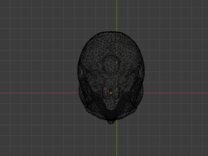 SKELETON 3D MODELS - AR - VR - GAME READY 3D Model
