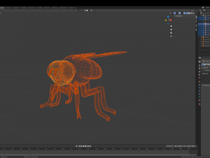 fly 3Dモデル
