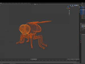 fly 3D Model