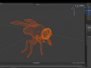 fly 3Dモデル
